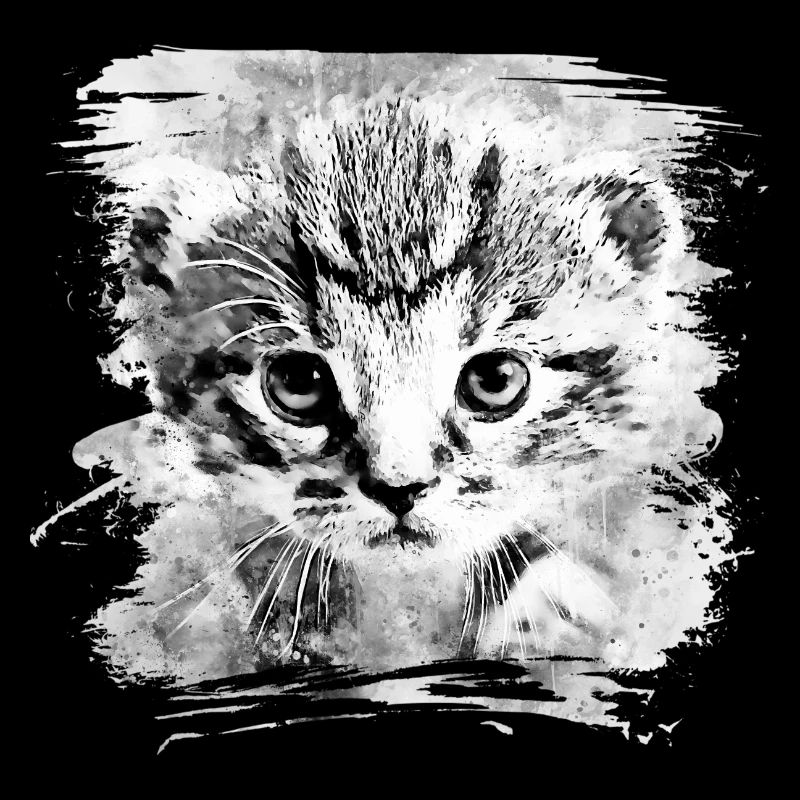 Baby Katze wsbw