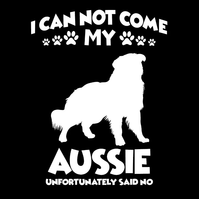Australian Shepherd Hundeschule Aussie Walking Dog