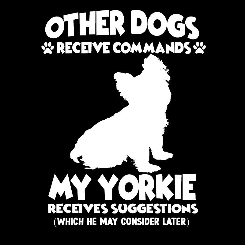 Funny Yorkshire Terrier Dog Training Dogs