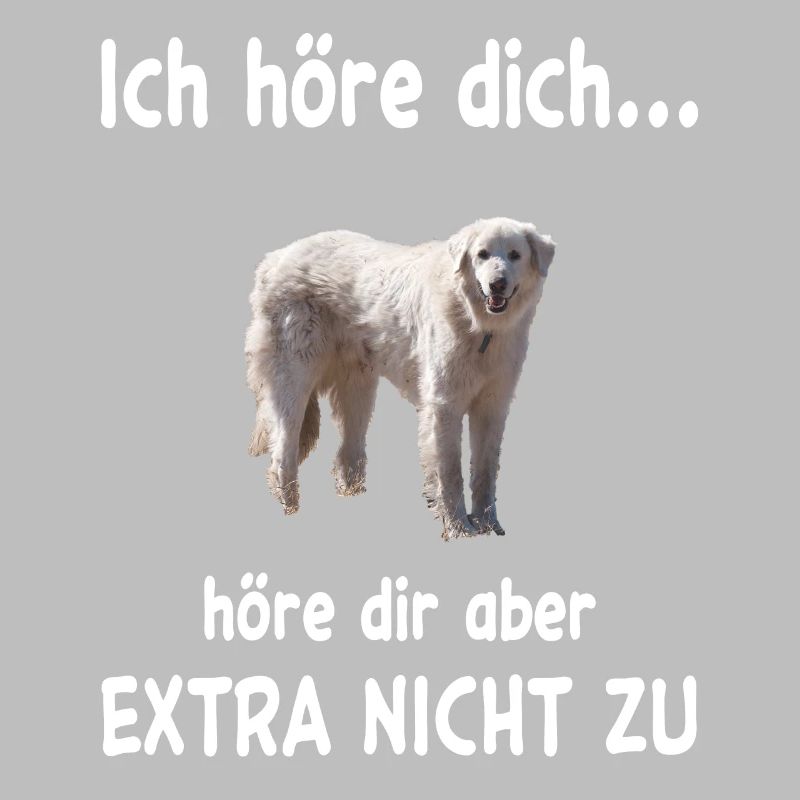 Akbash Hund - Akbash