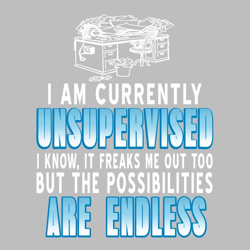 I Am Currently Unsupervised Funny Work At Home