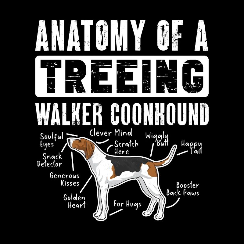 Marcheur arboricole Coonhound
