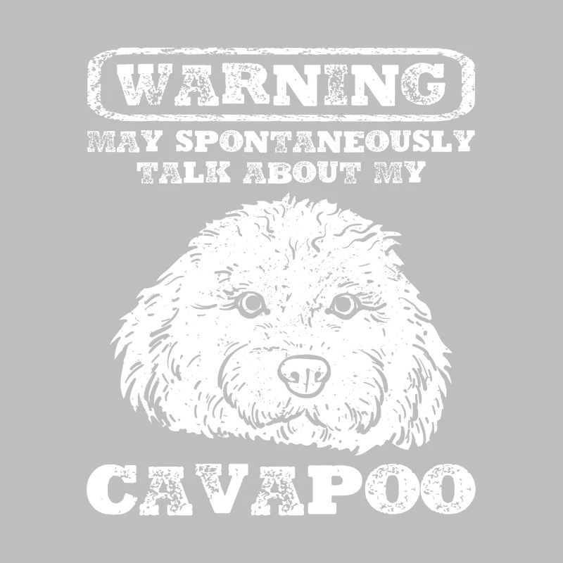 Cavapoo Cavoodle Capoodle Dog