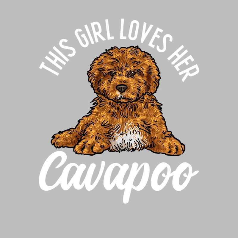 Cavapoo Cavoodle Capoodle Dog
