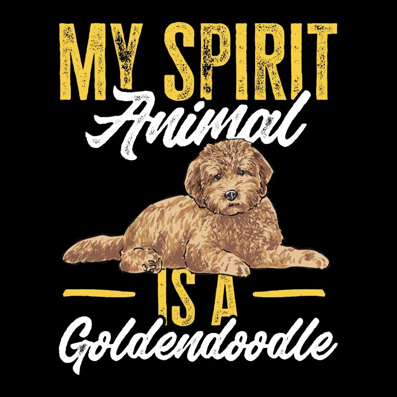 Goldendoodle Doodle Hund