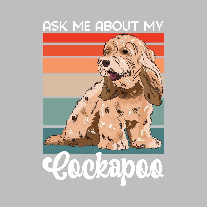 Cockapoo Hund
