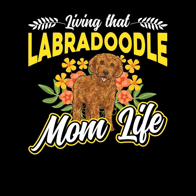 Labradoodle Hund