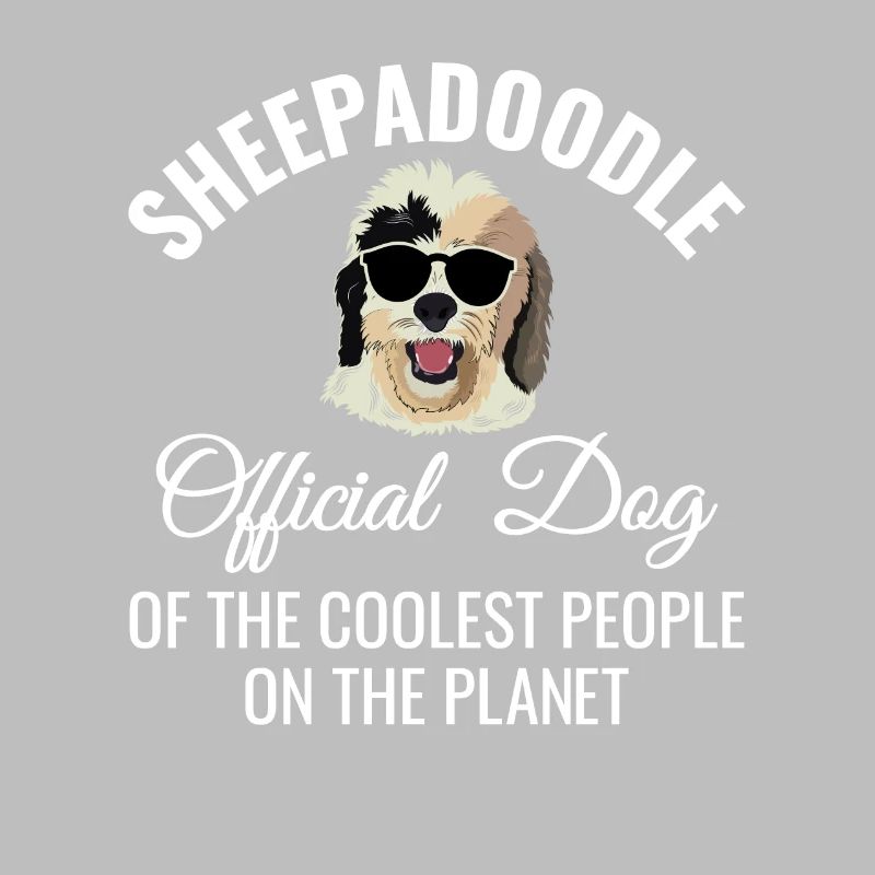 Sheepadoodle Doodle Dog
