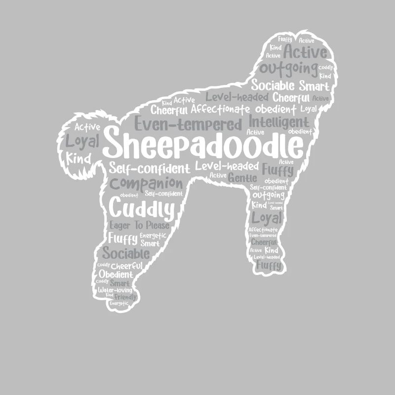 Sheepadoodle Doodle Dog