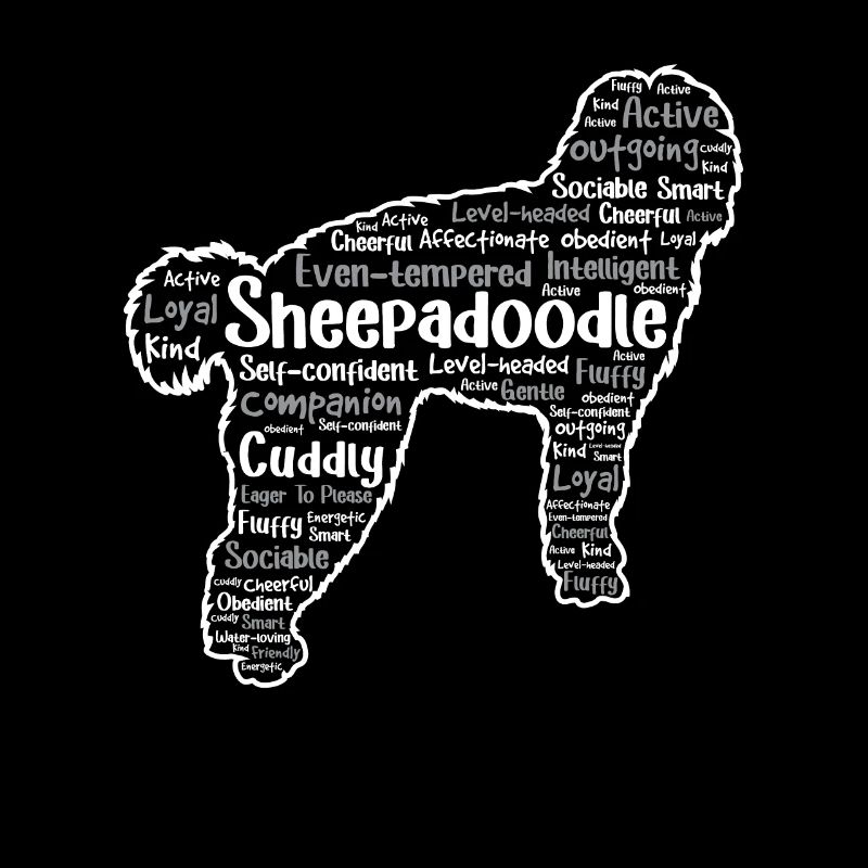 Sheepadoodle Doodle Dog