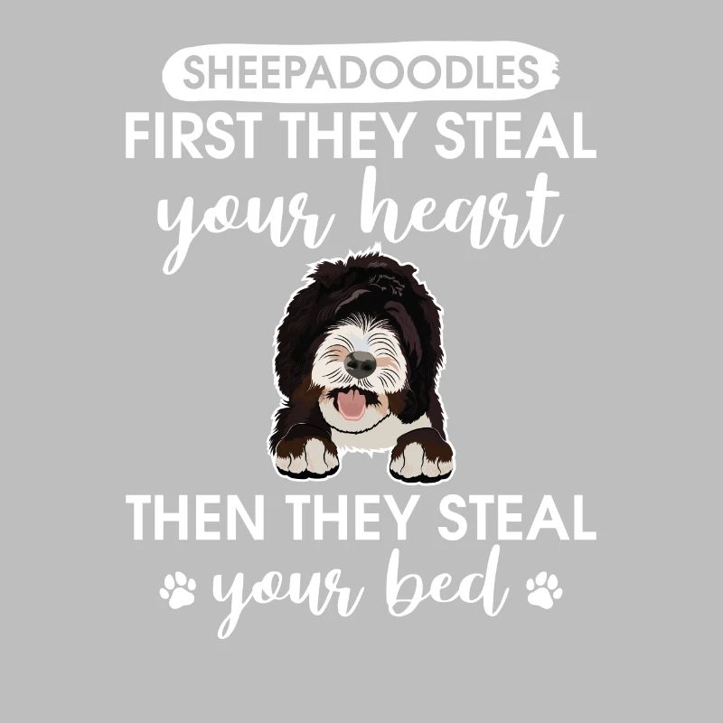 Sheepadoodle Doodle Hund