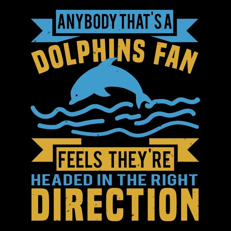 DOLPHINS FAN FEELS THEY ARE DIRECTION