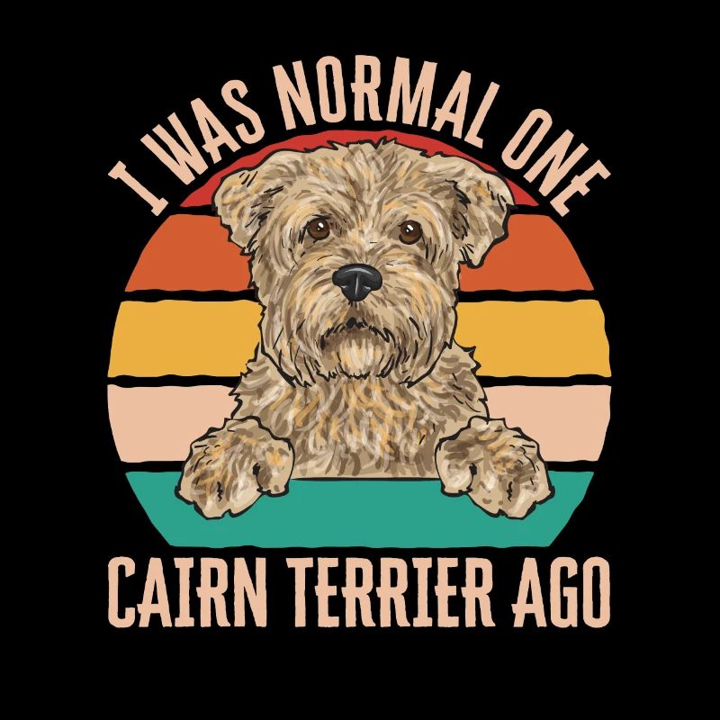 Cairn Terrier Chien