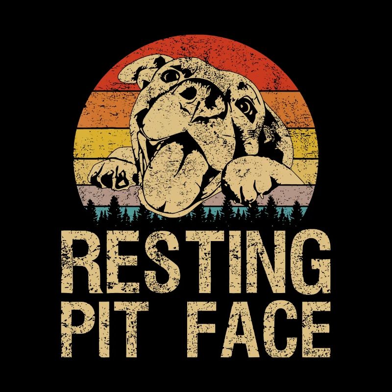 Vintage Pitbull Resting Pit Face