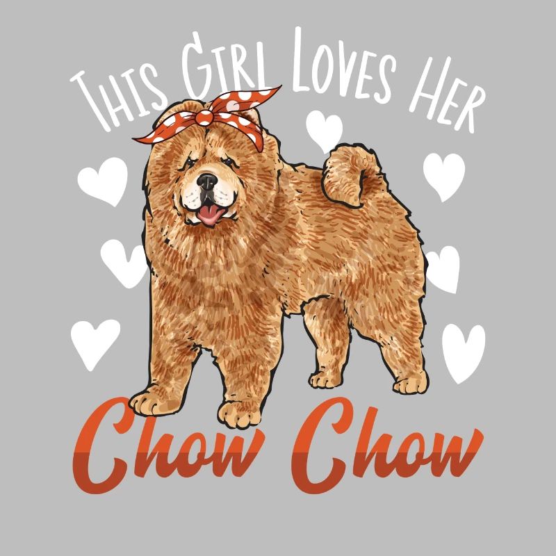 Chow Chow Hund