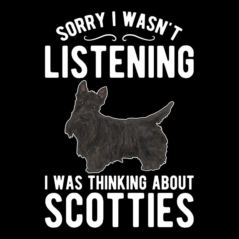 Scottish Terrier Scottie Hund