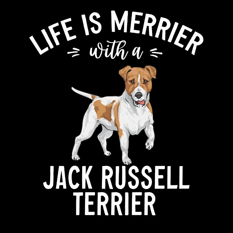 Jack Russell Terrier