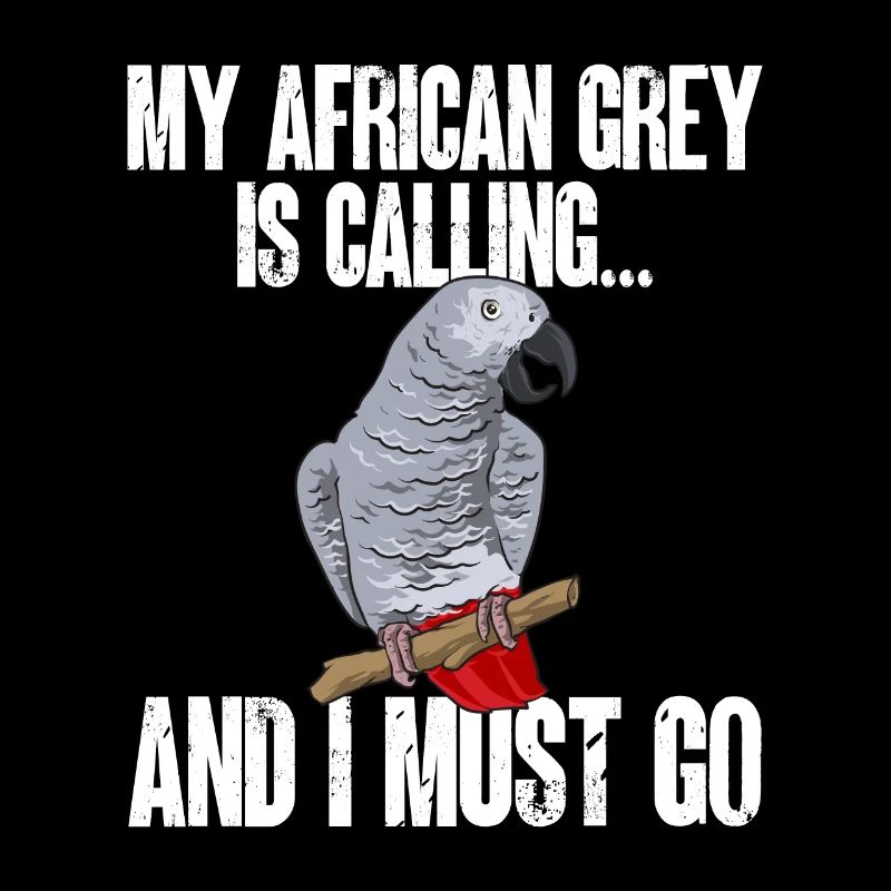 Graupapagei African Grey Parrot Papagei
