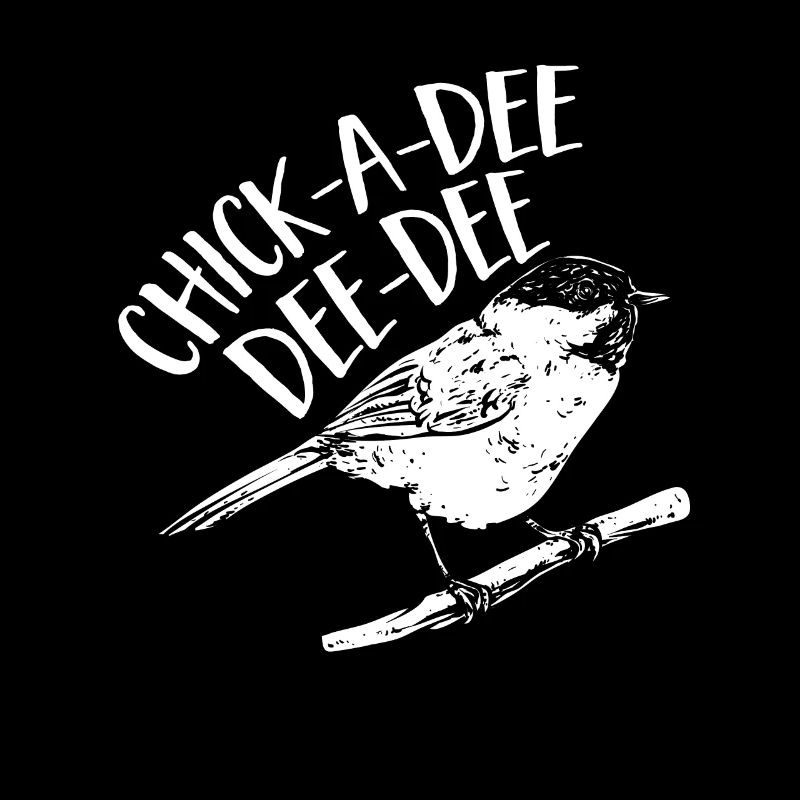 Meise Vogel Chickadee Vogelbeobachtung