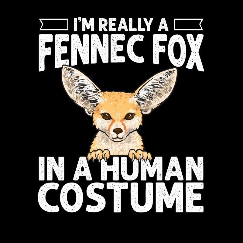 Fennek Fox Fennec Fox Desert Fox