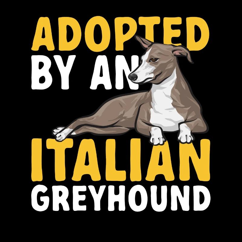 Lévrier italien Greyhound Chiens