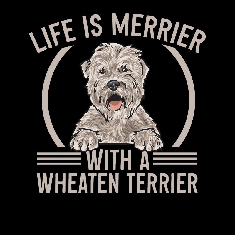 Terrier irlandais à enrobage doux