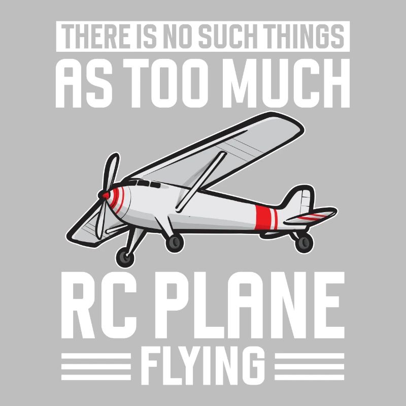 Modèle d’avion télécommandé