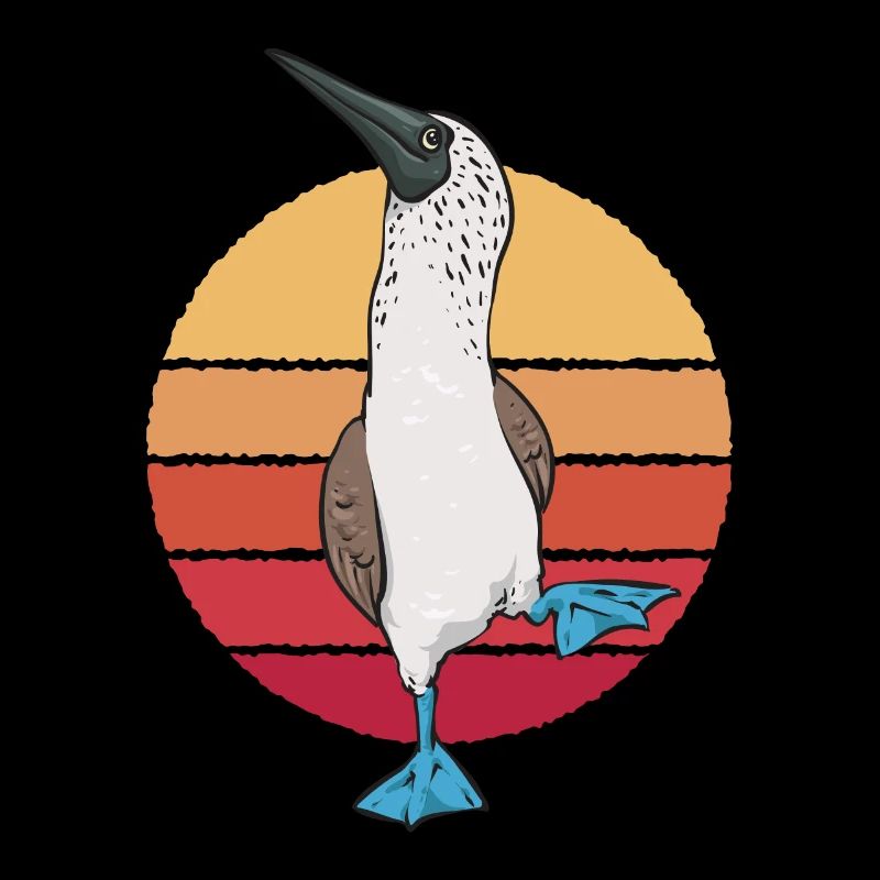 Blaufußtölpel Blue-footed Booby Seevogel