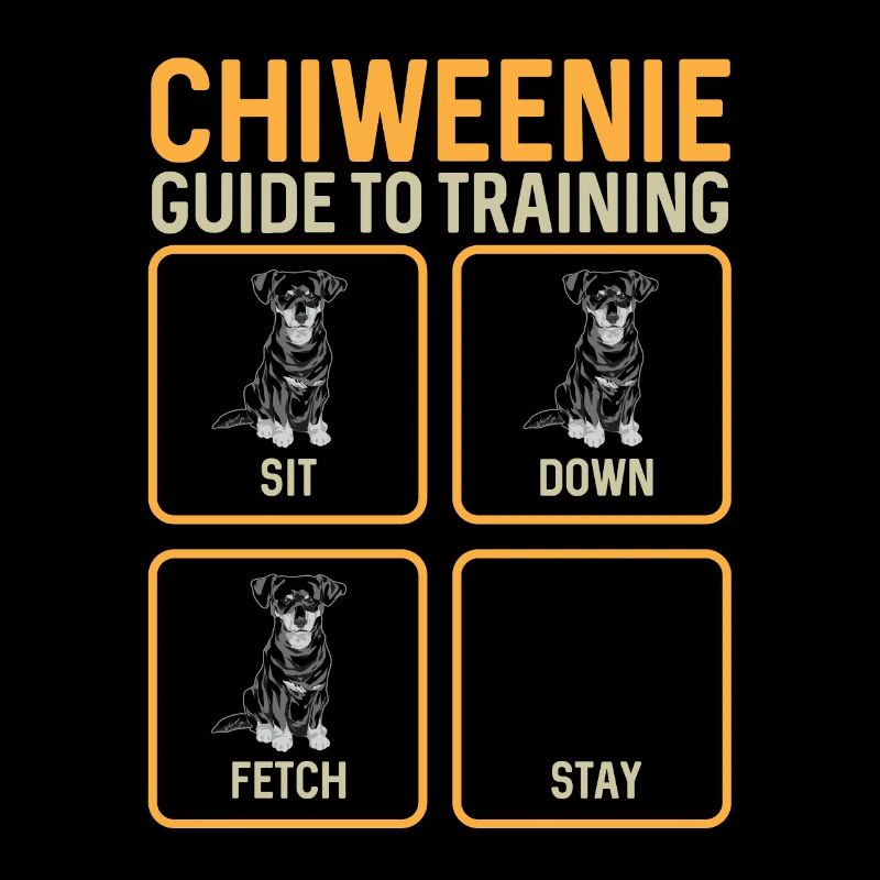 Chiweenie Dog