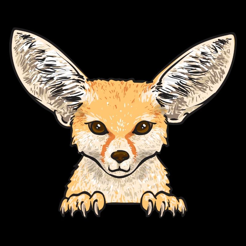 Fennek Fox Fennec Fox Desert Fox