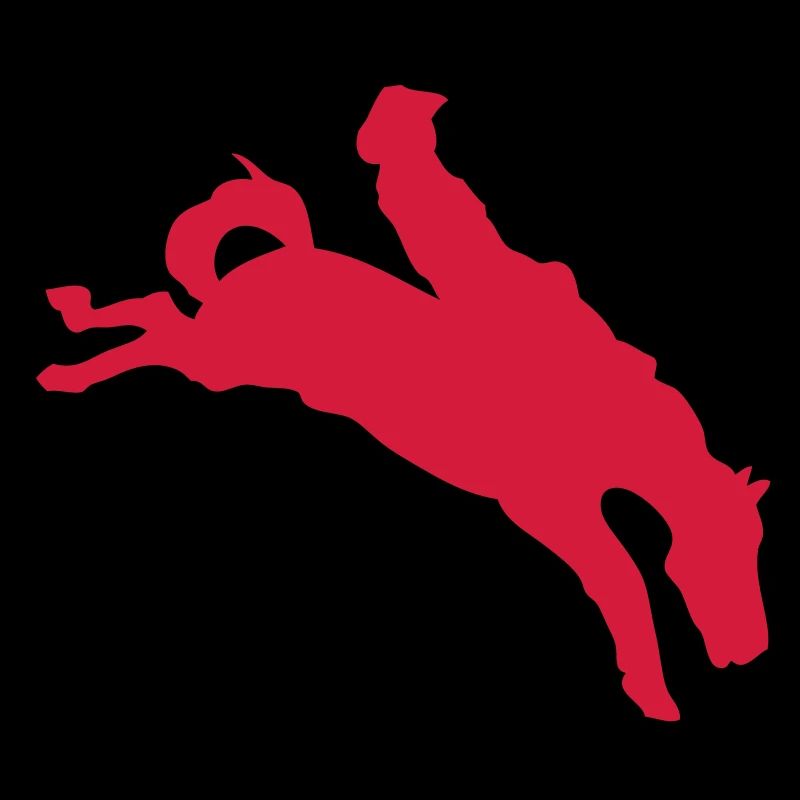 rodeo cowboy cheval