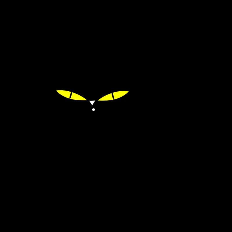 Chat noir de Meow, chat noir, cadeau