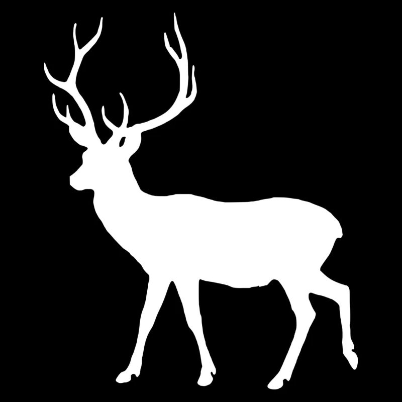 Hirsch