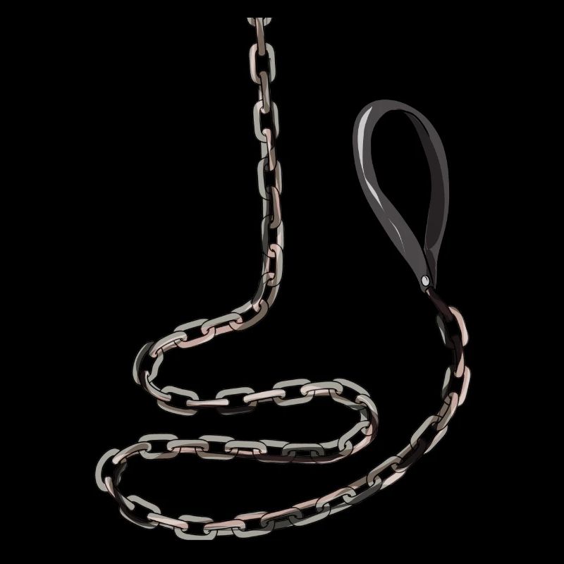 Necklace collar submissive O-ring leash slave sub