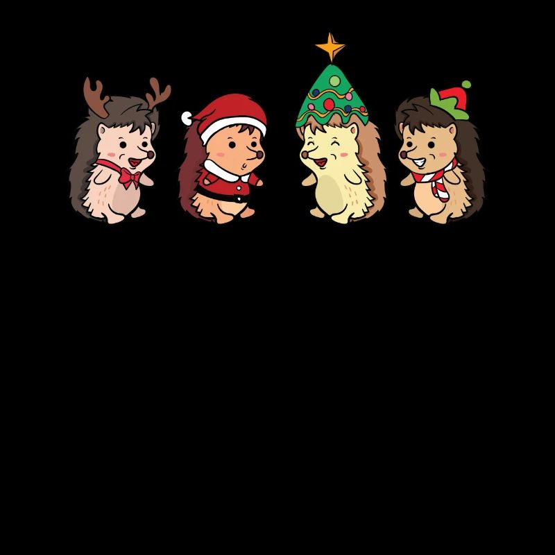 Igel Weinhachten Weihnachtsmann Köstum Geschenk