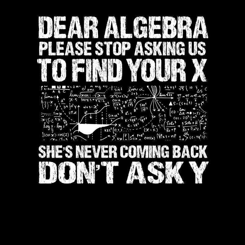 Mathe Algebra Sarkasmus Single Ex Rechnen Geschenk