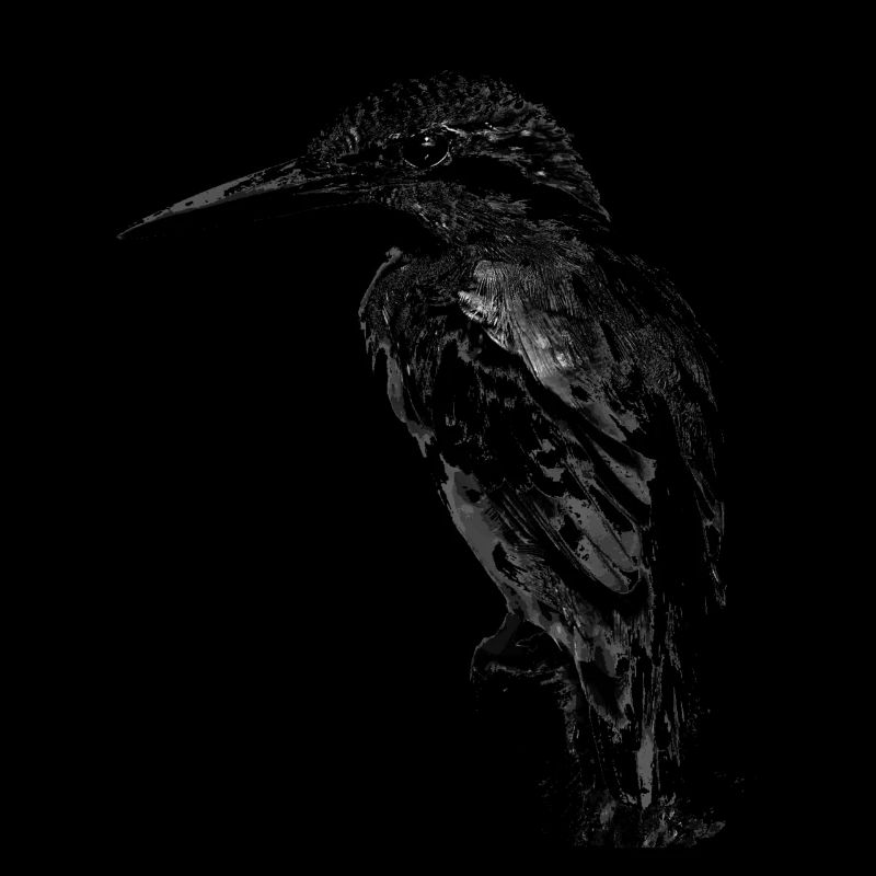 Eisvogel