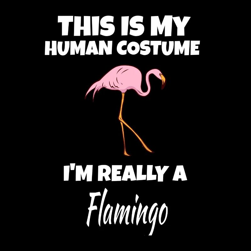 flamant