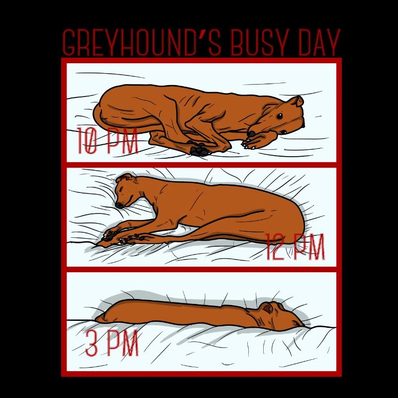 Le cadeau de galgo de chien lévrier Greyhound galgo