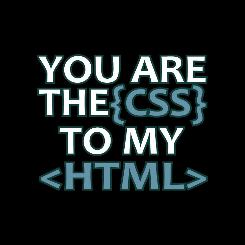 Web developer CSS HTML Informatik Funny gift