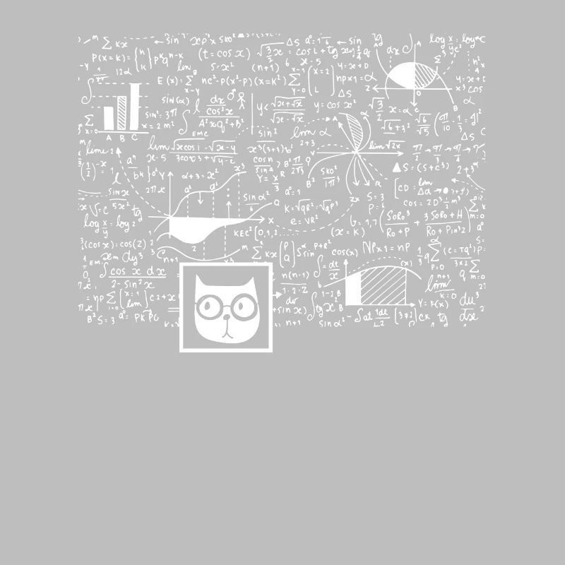 Nerd Schrödinger Physics Big Bang funny gift