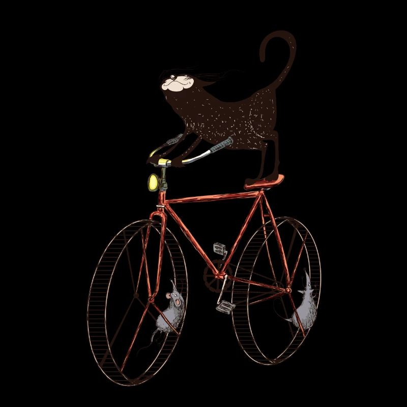 Cheeky cat gets chauffeured