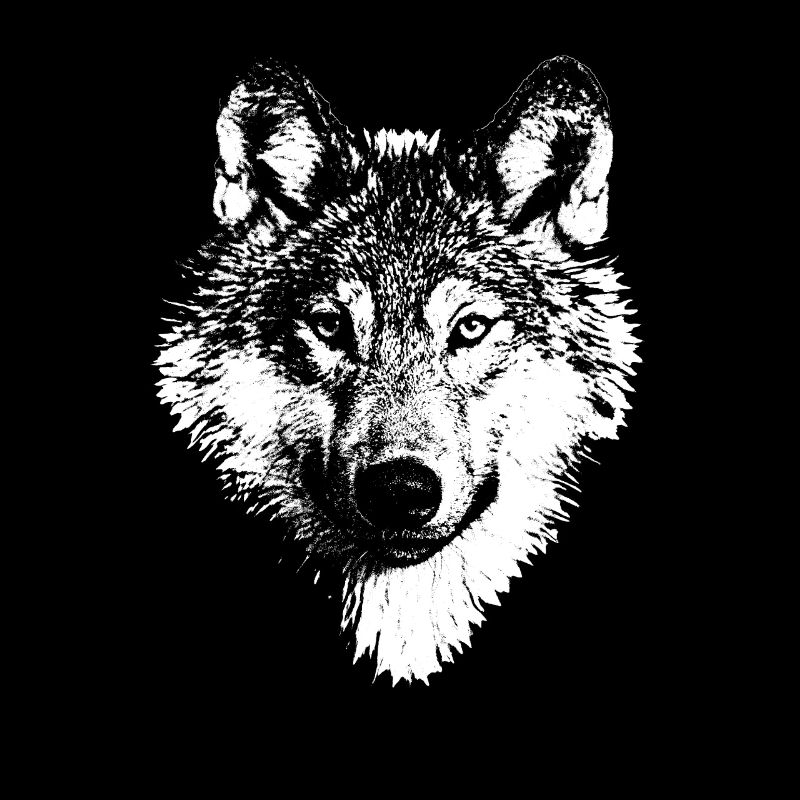 Weißer Wolf