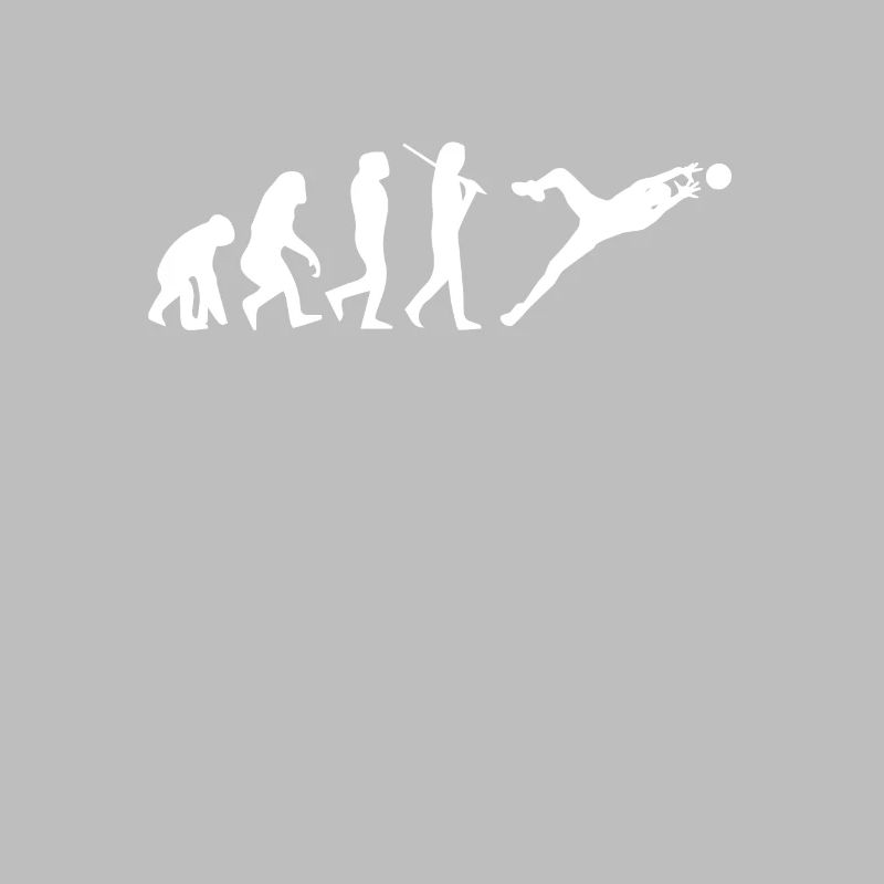 Evolution du gardien