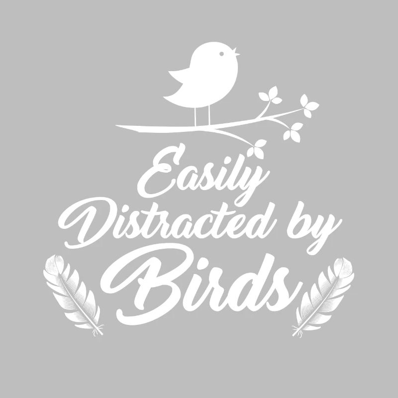 observation des oiseaux