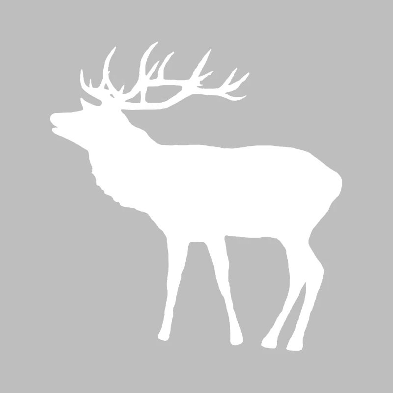großer Hirsch mit Geweih, Rehbock, Jagd, Wald