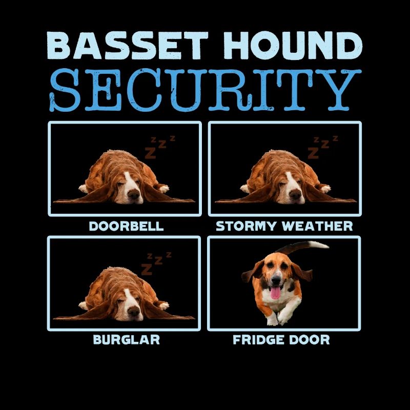 Basset Hound Security