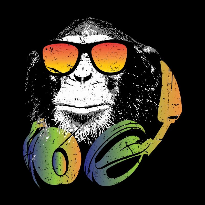 Lunettes de soleil pour casque DJ Monkey