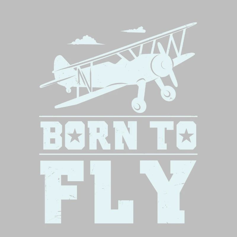 Model flight pilot gift