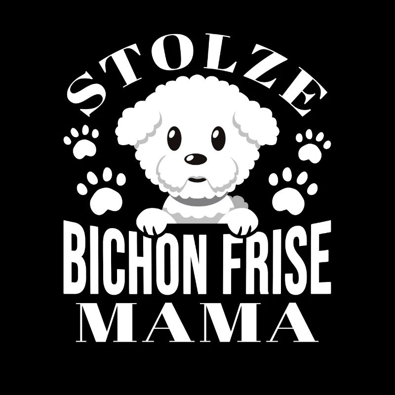 Bichon Frise Bichon Frisé